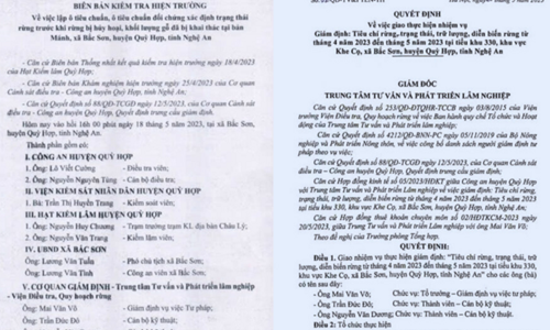 Nghệ An (Quỳ Hợp): Vụ án chủ rừng vướng lao lý, thành phần giám định có hợp pháp?